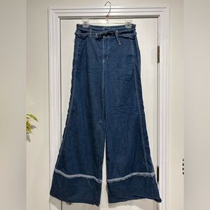 Anthropologie Pilcro Jeans wide leg size 29